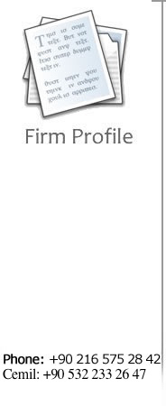 Firm Profile 